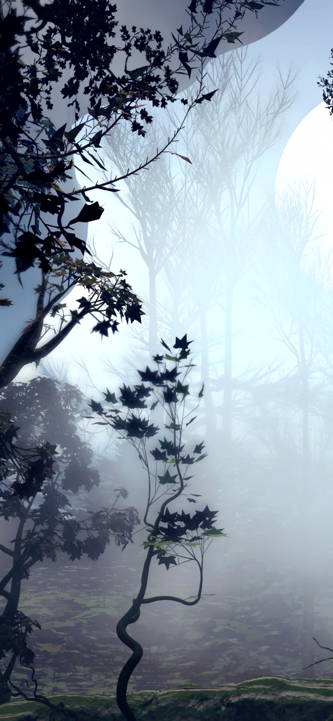 Arbres Verts Près du Plan D'eau Pendant la Journée. Wallpaper in 1125x2436 Resolution