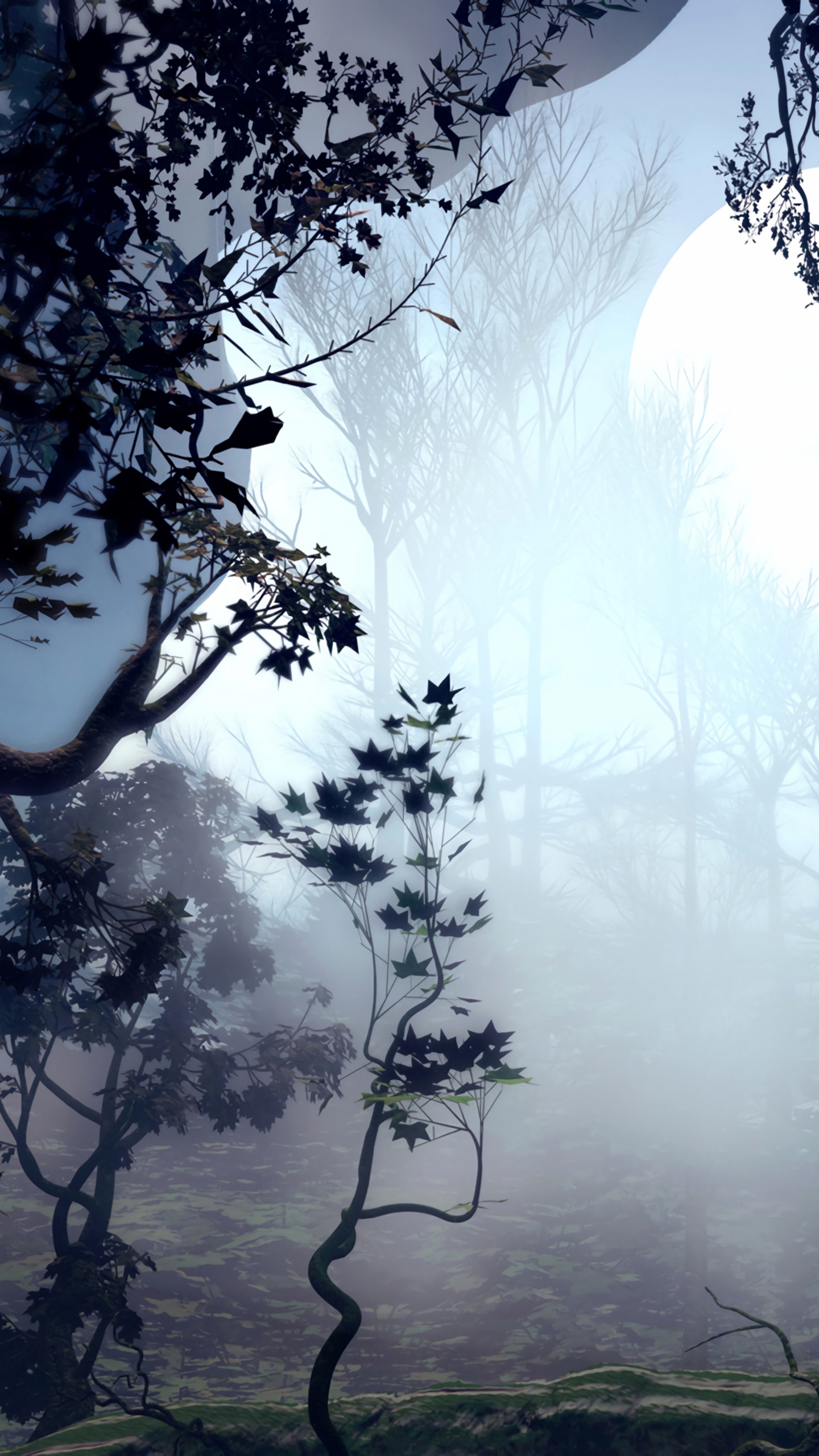 Arbres Verts Près du Plan D'eau Pendant la Journée. Wallpaper in 1440x2560 Resolution