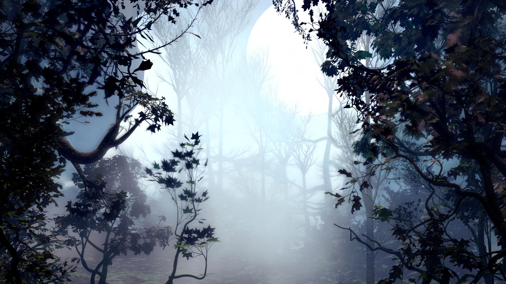 Arbres Verts Près du Plan D'eau Pendant la Journée. Wallpaper in 1920x1080 Resolution