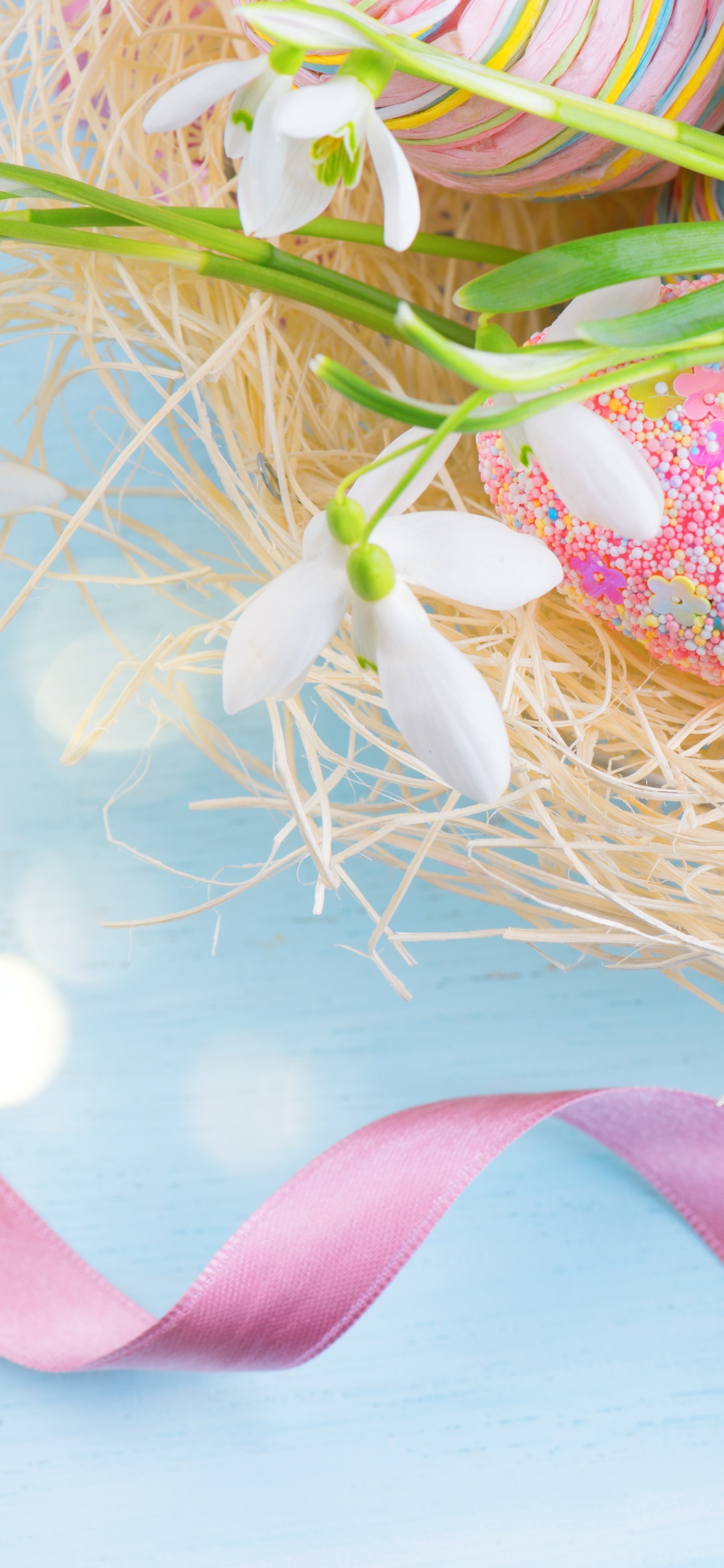 Huevo de Pascua, Pascua, Huevo, Campanilla de Invierno, Pollo. Wallpaper in 1125x2436 Resolution