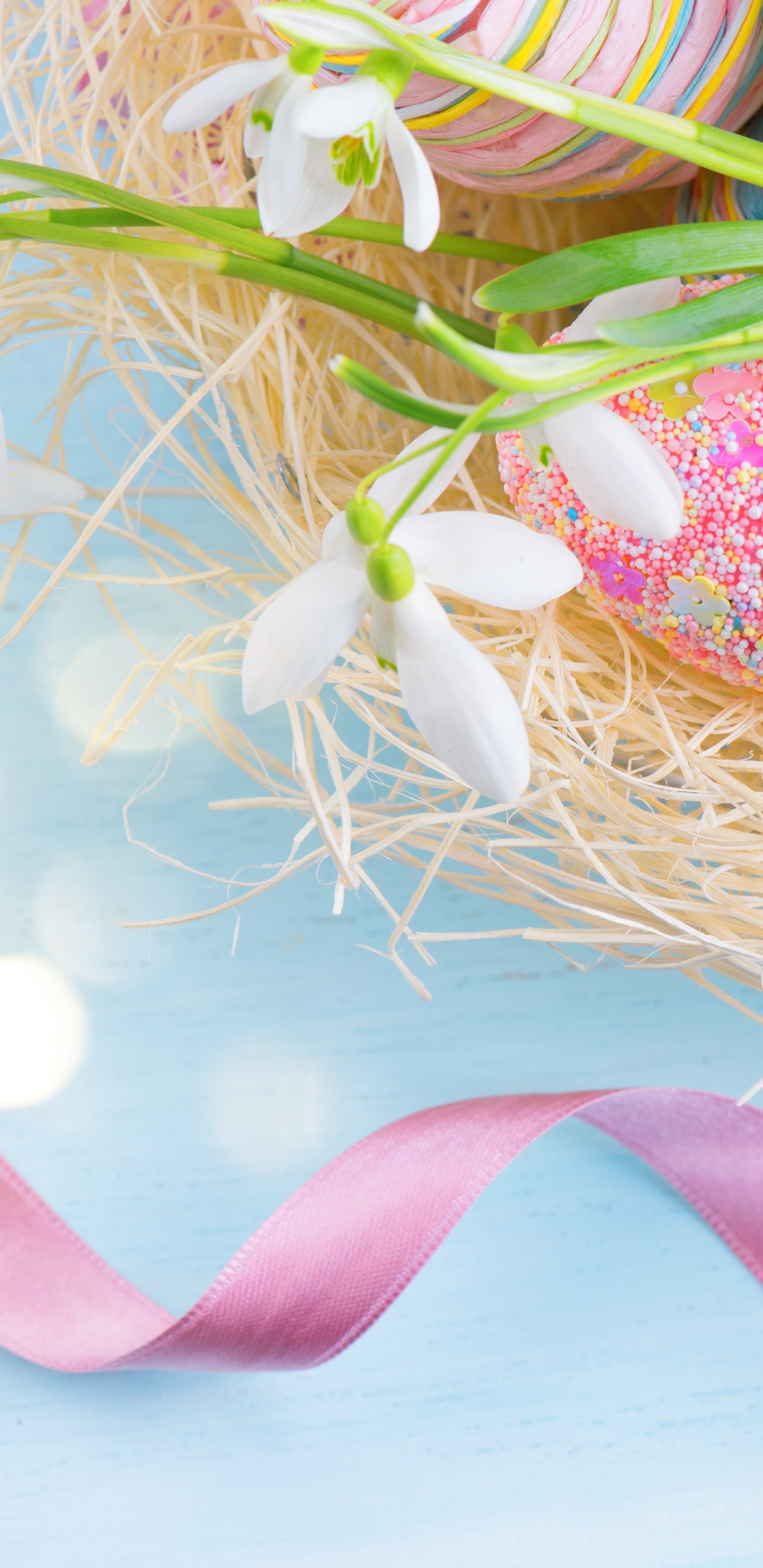 Easter Egg, Easter, Egg, Snowdrop, Holiday. Wallpaper in 1440x2960 Resolution