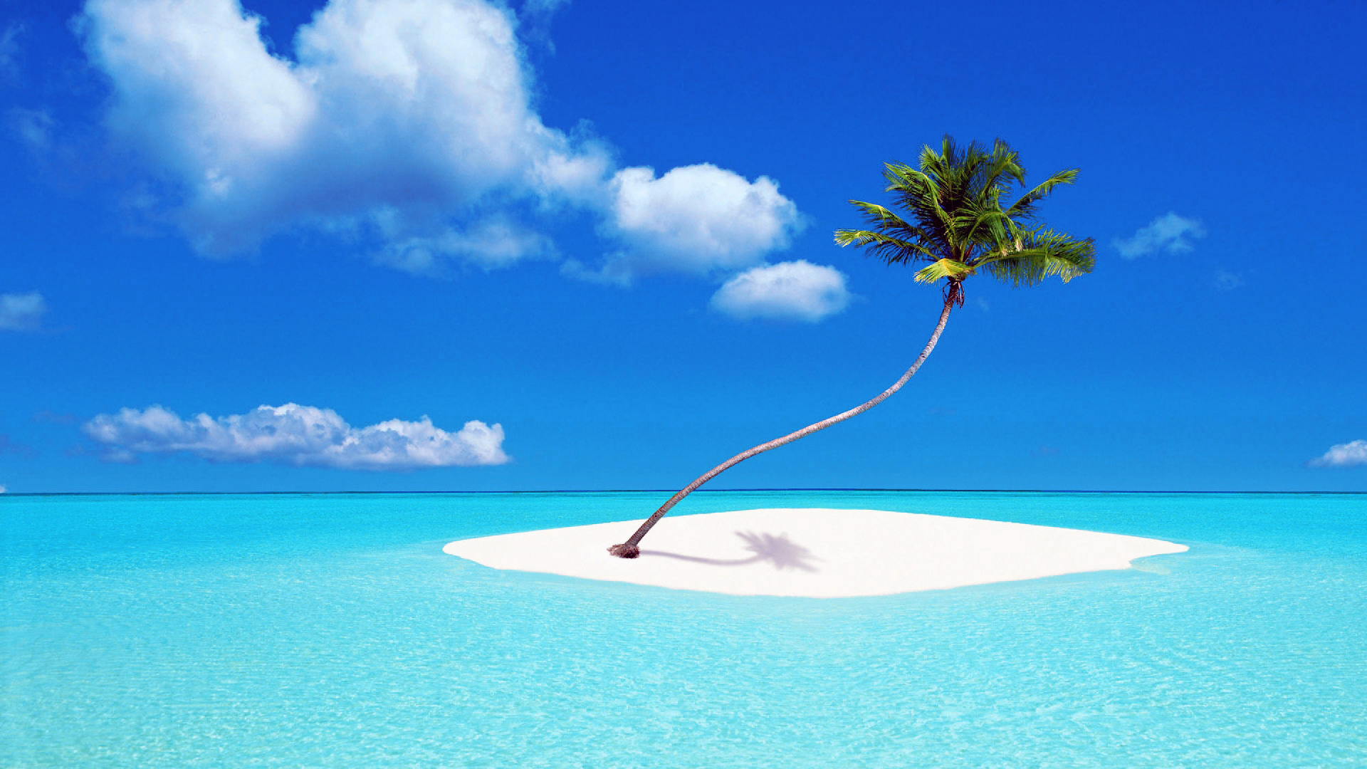 Palm Tree on White Sand Beach During Daytime. Wallpaper in 1920x1080 Resolution