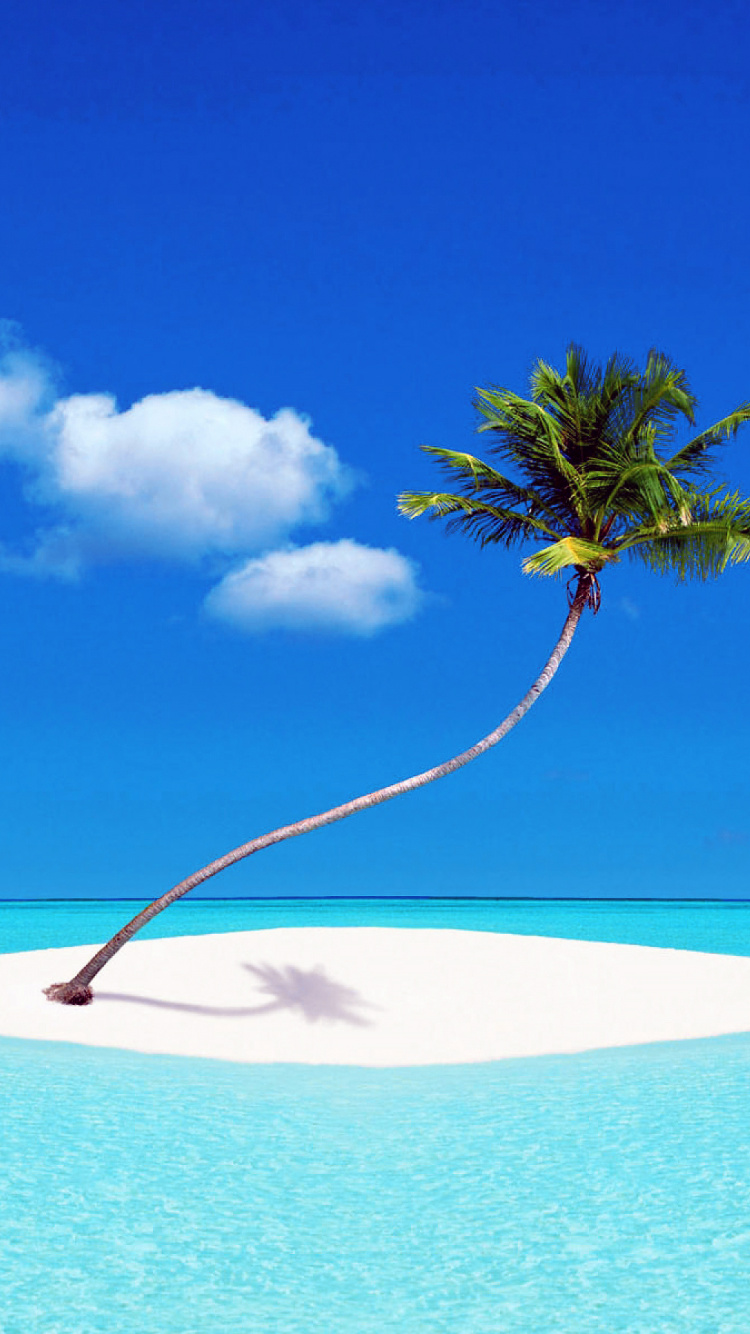 Palmera en la Playa de Arena Blanca Durante el Día. Wallpaper in 750x1334 Resolution