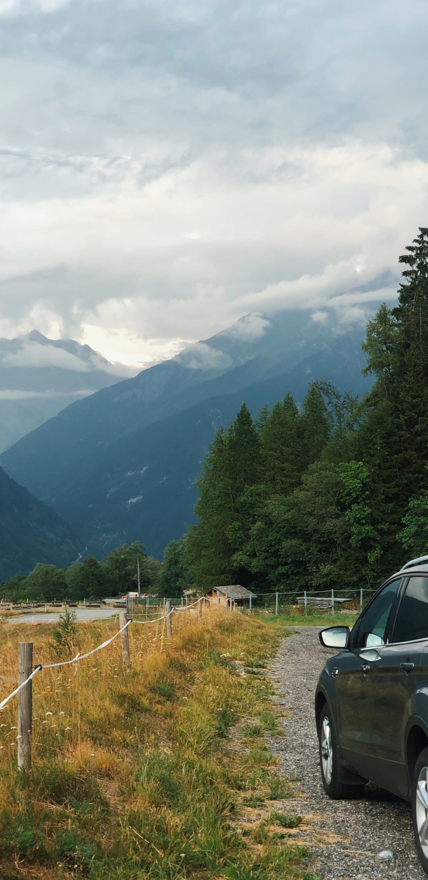 Highland, Rey, Neumatico, Rueda, Las Formaciones Montañosas. Wallpaper in 1440x2960 Resolution