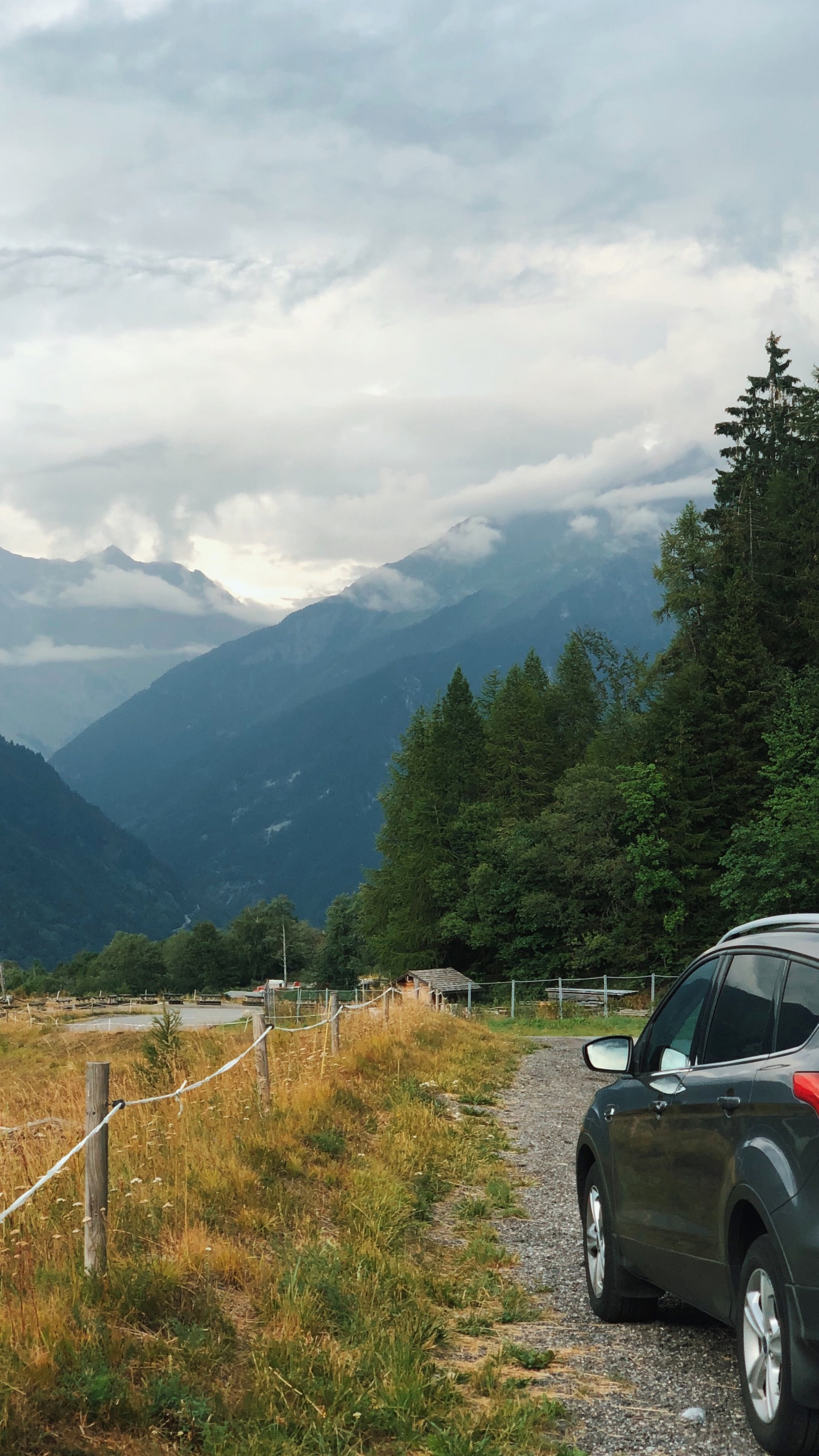 Hochland, König, Tire, Rad, Bergigen Landschaftsformen. Wallpaper in 1440x2560 Resolution