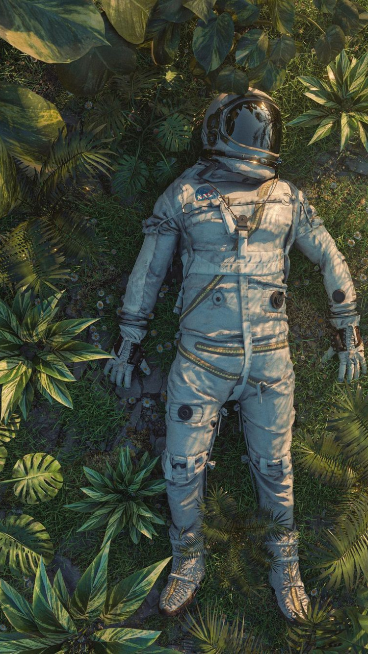 Nightmare Leossenas, Art, Soundcloud, r Art, Plant. Wallpaper in 750x1334 Resolution