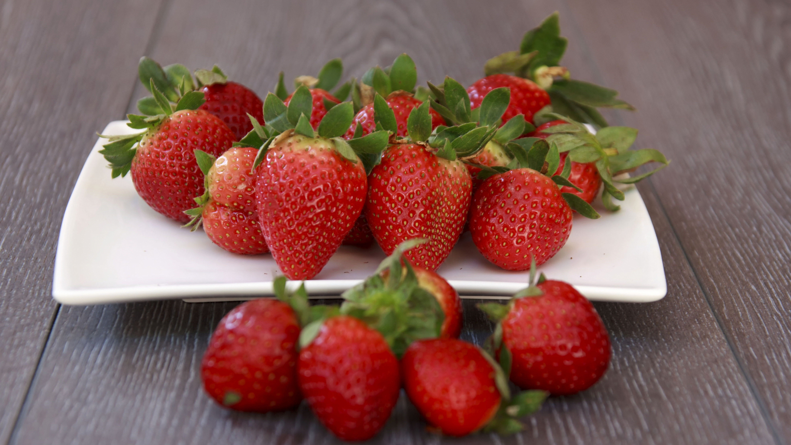 Strawberries on White Ceramic Plate. Wallpaper in 2560x1440 Resolution