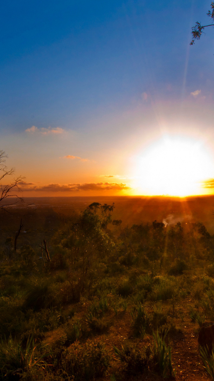 澳大利亚, 日出, 太阳, 早上, 地平线 壁纸 750x1334 允许