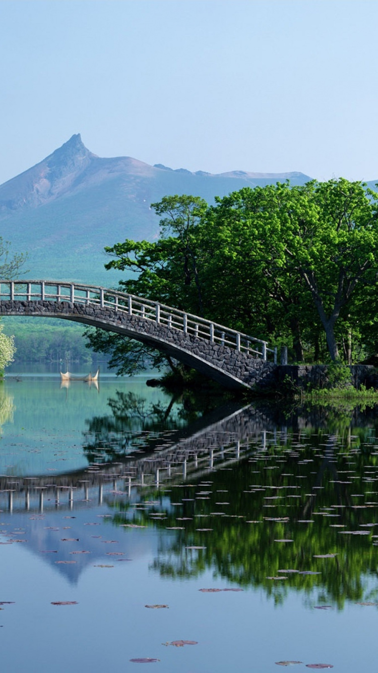 旅游景点, 性质, 反射, 拱桥, 水资源 壁纸 750x1334 允许