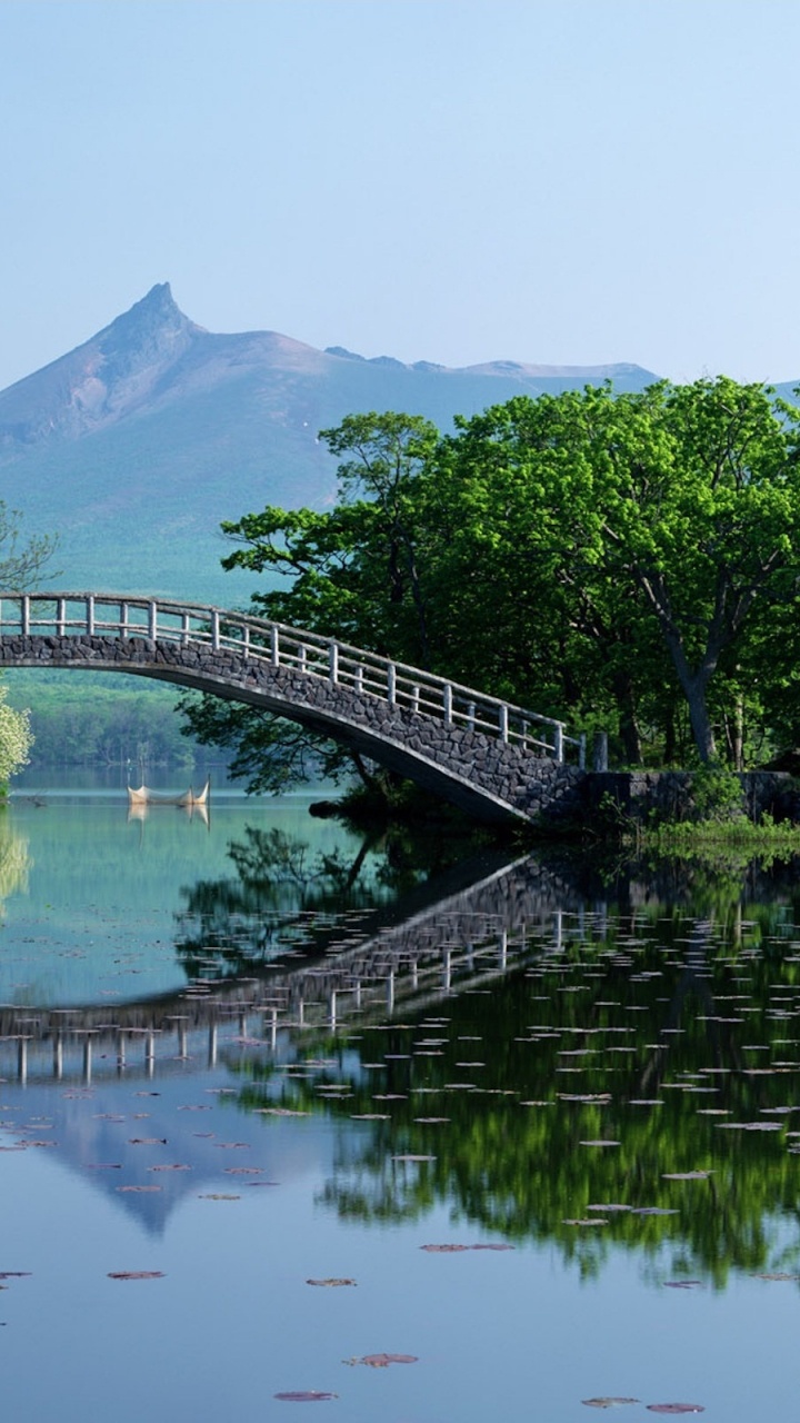 Grüne Bäume in Der Nähe Von Gewässern Tagsüber Water. Wallpaper in 720x1280 Resolution