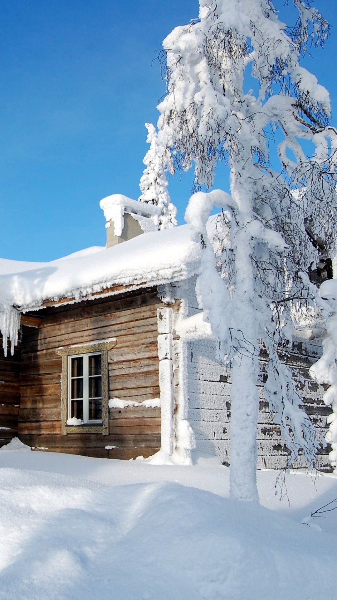 Brown Wooden House Covered With Snow During Daytime. Wallpaper in 1080x1920 Resolution