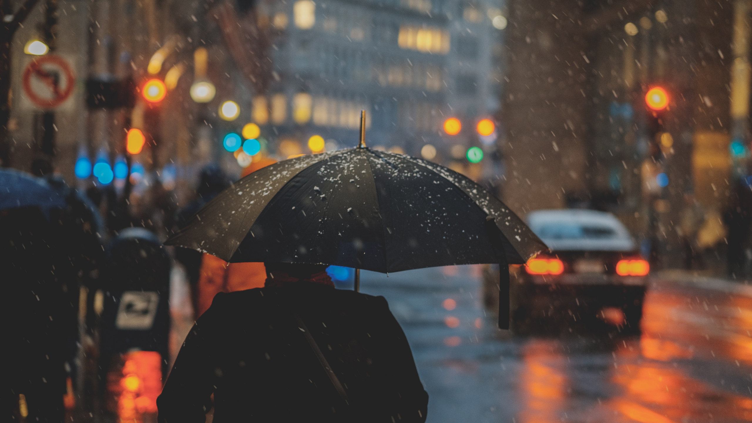 Person im Schwarzen Mantel Hält Regenschirm Bei Regen. Wallpaper in 2560x1440 Resolution