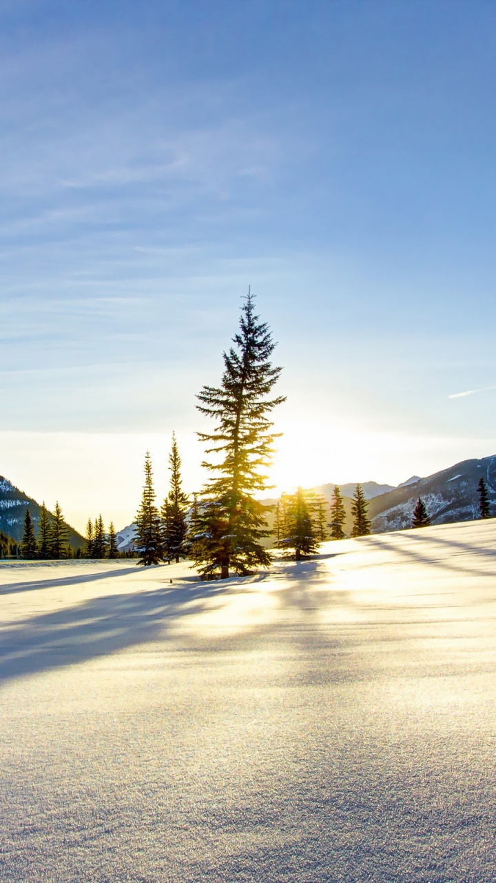 Snow Covered Road Near Trees and Mountains During Daytime. Wallpaper in 720x1280 Resolution