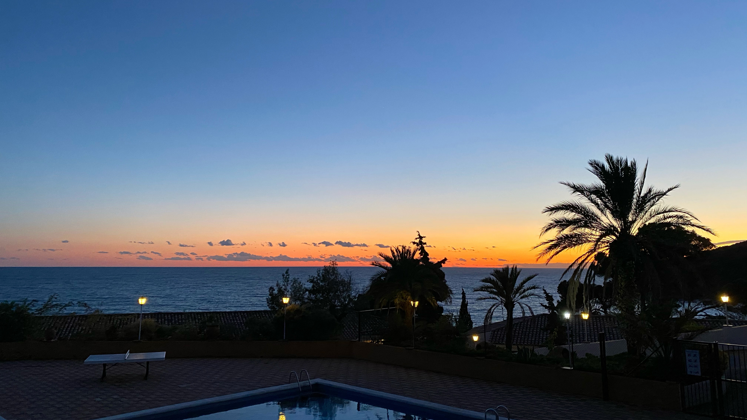 Palm Trees, Water, Real Estate, Dusk, Sunset. Wallpaper in 2560x1440 Resolution