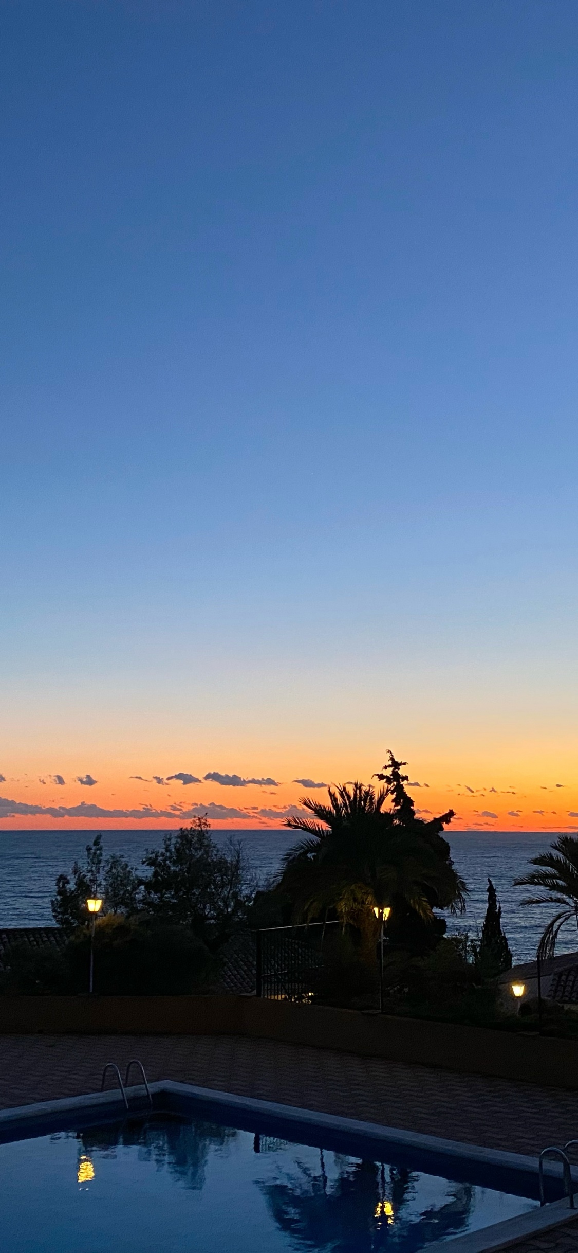 Palmier, Eau, Immobilier, Soir, Horizon. Wallpaper in 1125x2436 Resolution