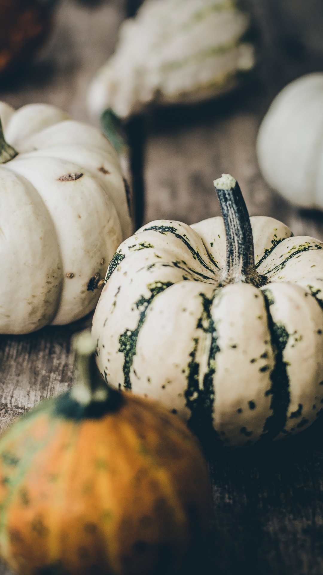 Herbst, Lebensmittel, Winter Squash, Natürliche Lebensmittel, Squash. Wallpaper in 1080x1920 Resolution