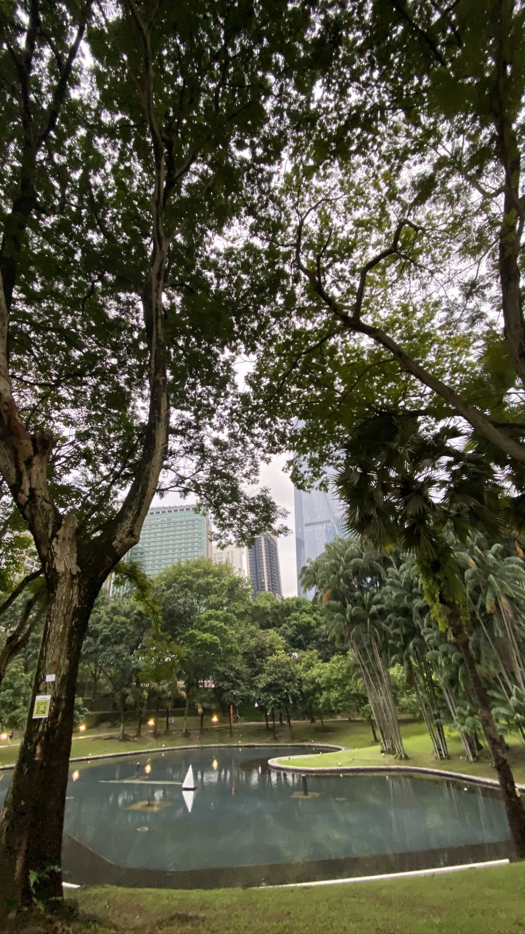 Malaysia, Tree, Water, Vegetation, Leaf. Wallpaper in 1080x1920 Resolution