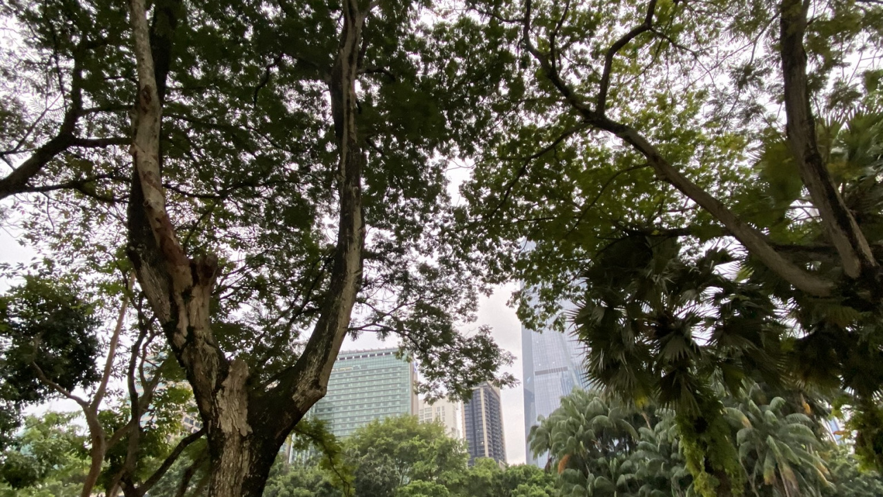 植被, 木本植物, 公园, 水的特征, Nonbuilding结构 壁纸 1280x720 允许