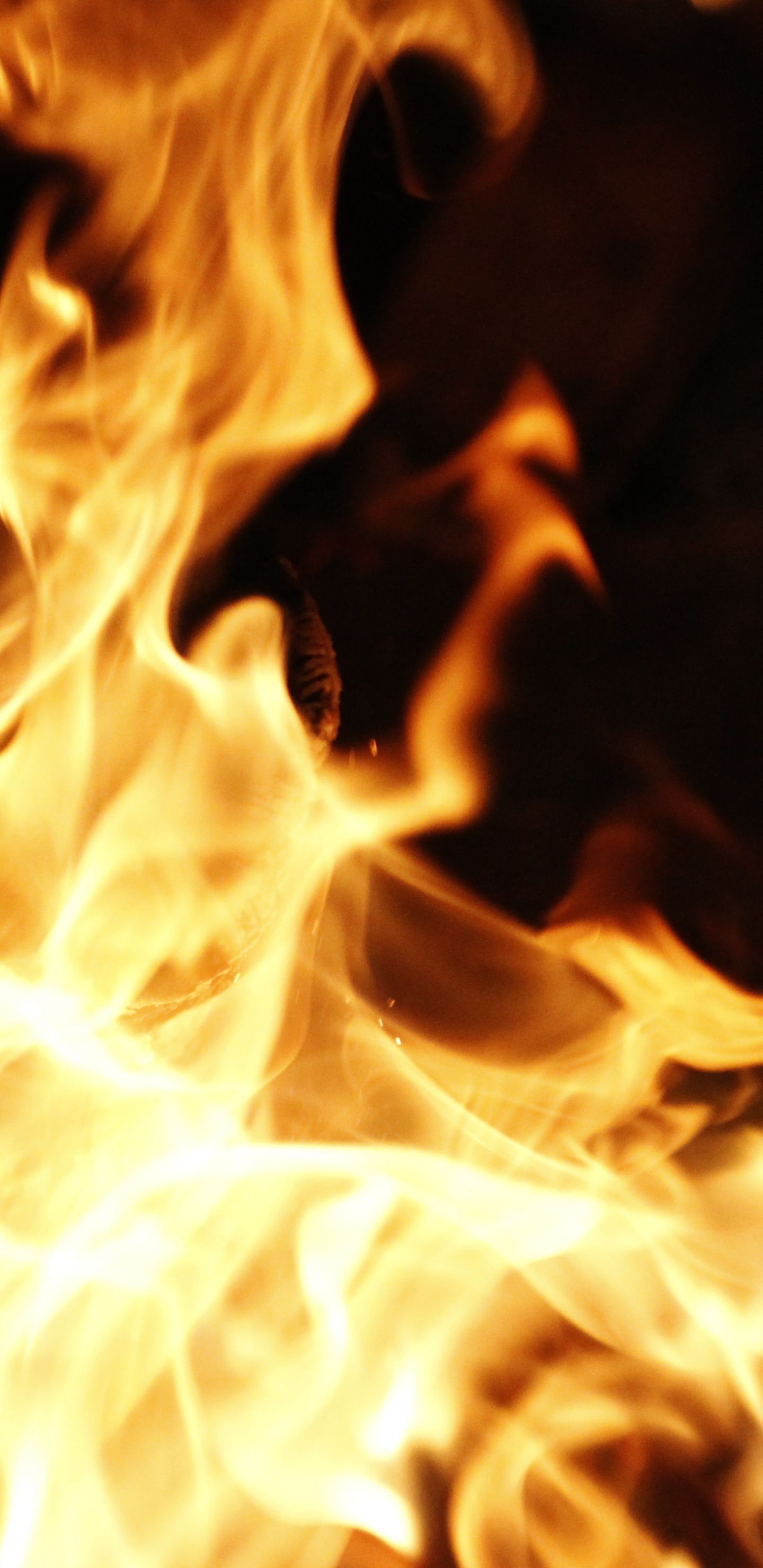 Feu en Photographie Rapprochée. Wallpaper in 1440x2960 Resolution