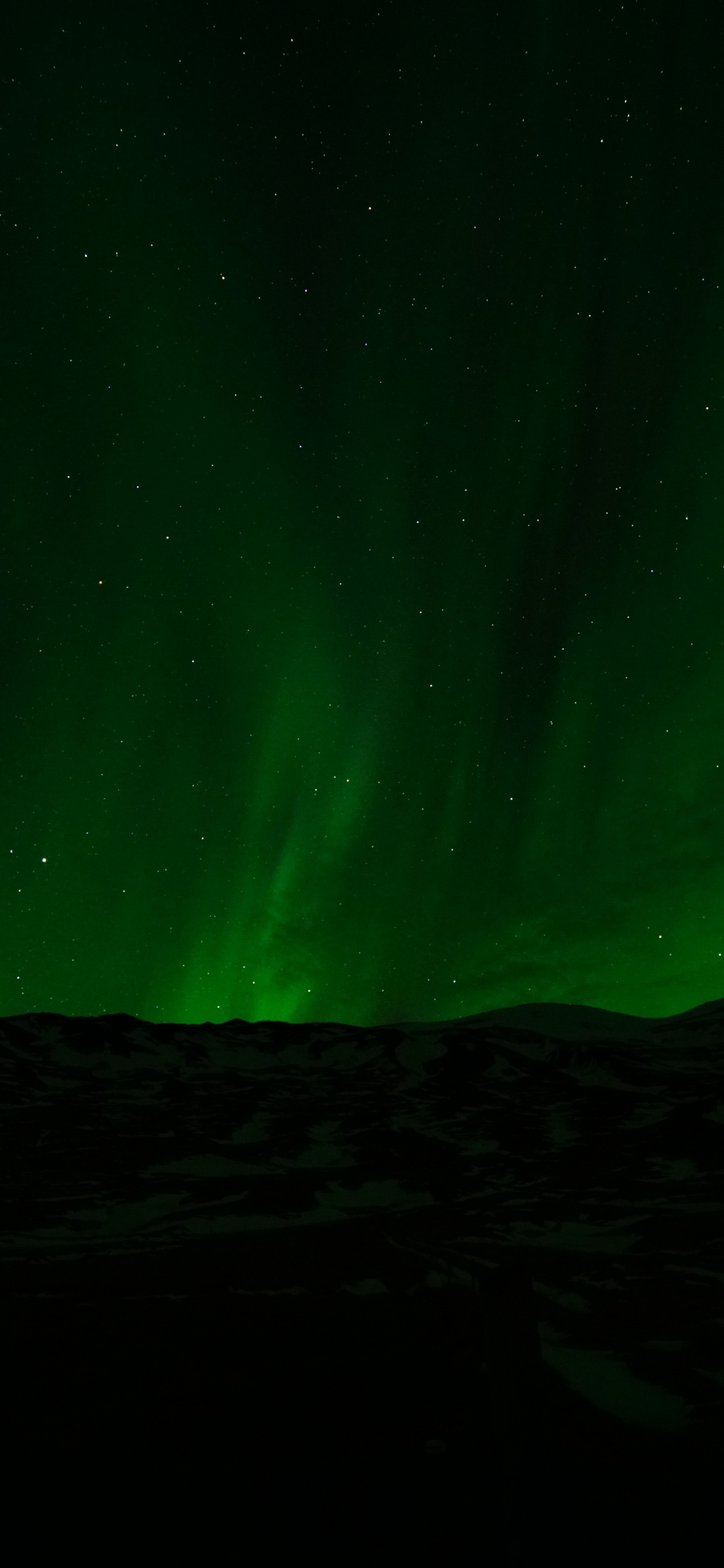 Aurora Boreal Verde Durante la Noche. Wallpaper in 1125x2436 Resolution