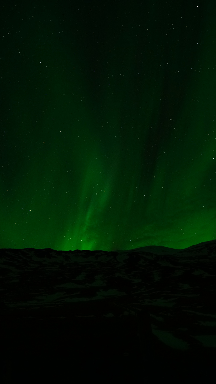 Aurora Boreal Verde Durante la Noche. Wallpaper in 750x1334 Resolution