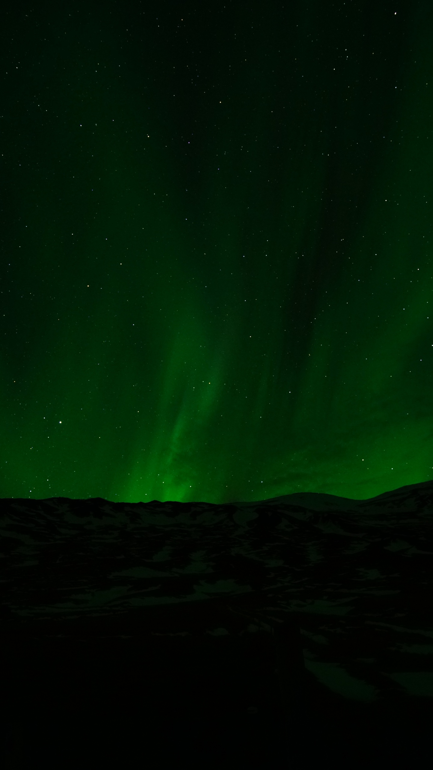 Aurores Boréales Vertes Pendant la Nuit. Wallpaper in 1440x2560 Resolution