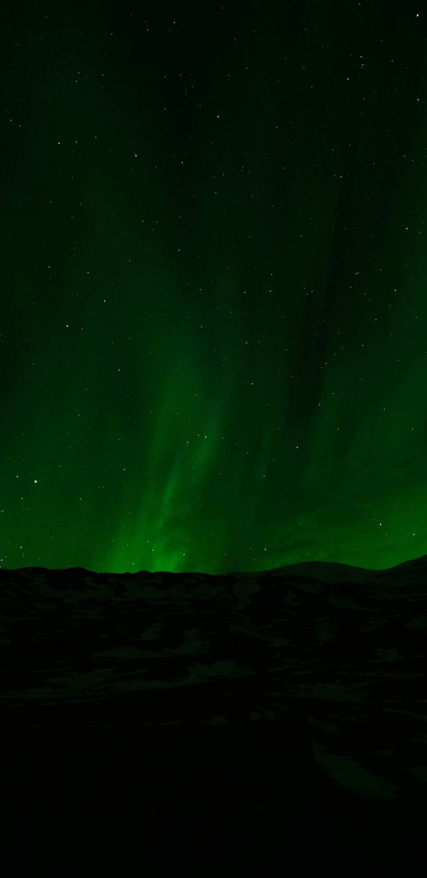 Green Aurora Borealis During Night Time. Wallpaper in 1440x2960 Resolution