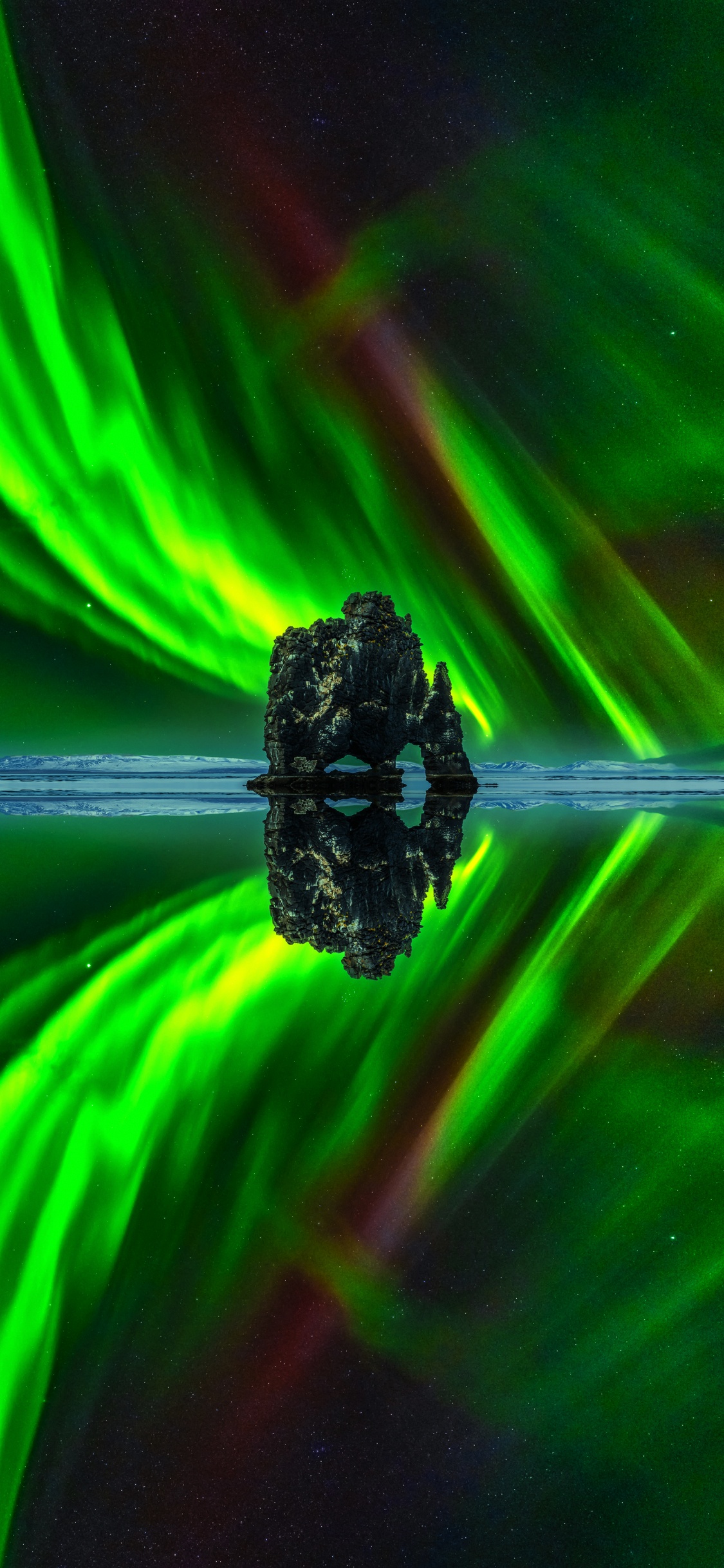 grass, graphic design, plant, water, liquid