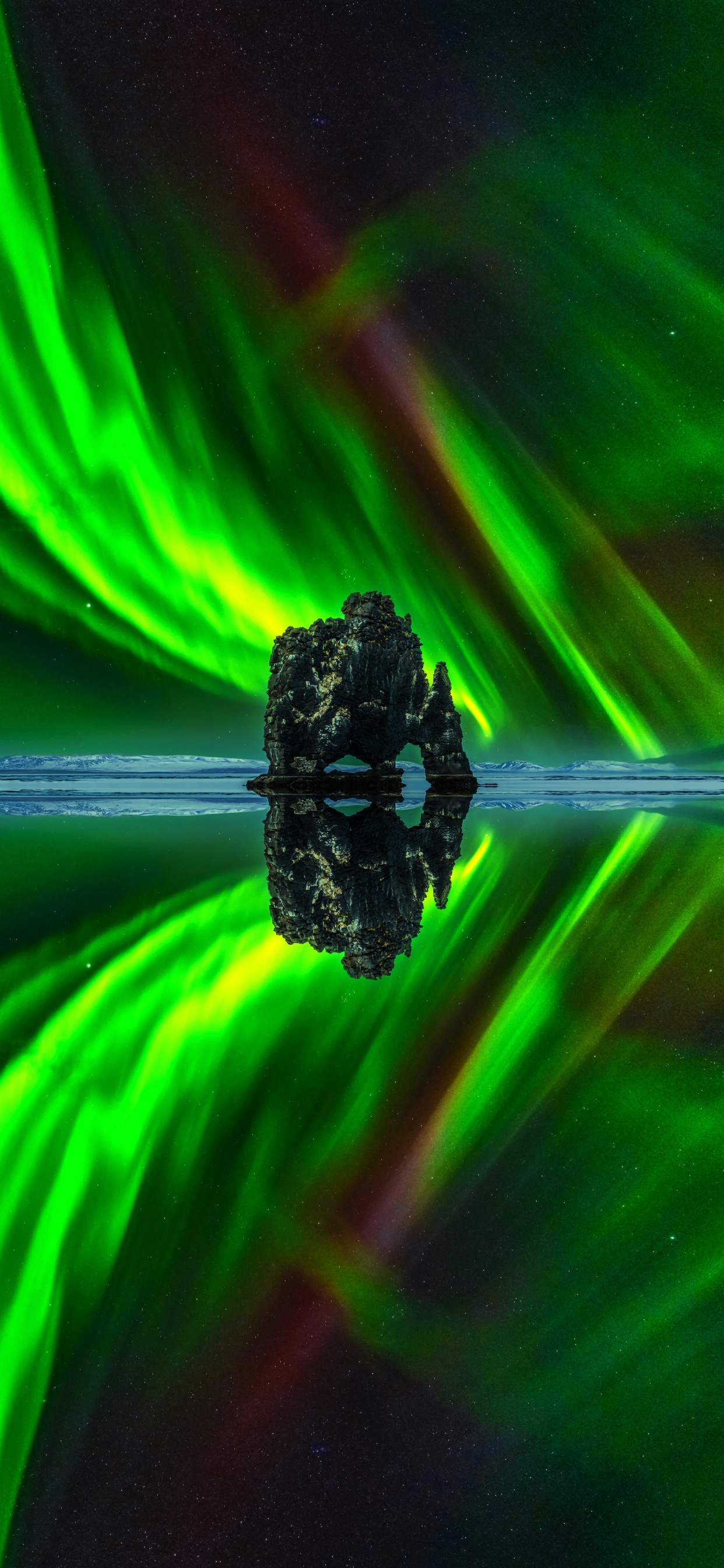 grass, graphic design, plant, water, liquid