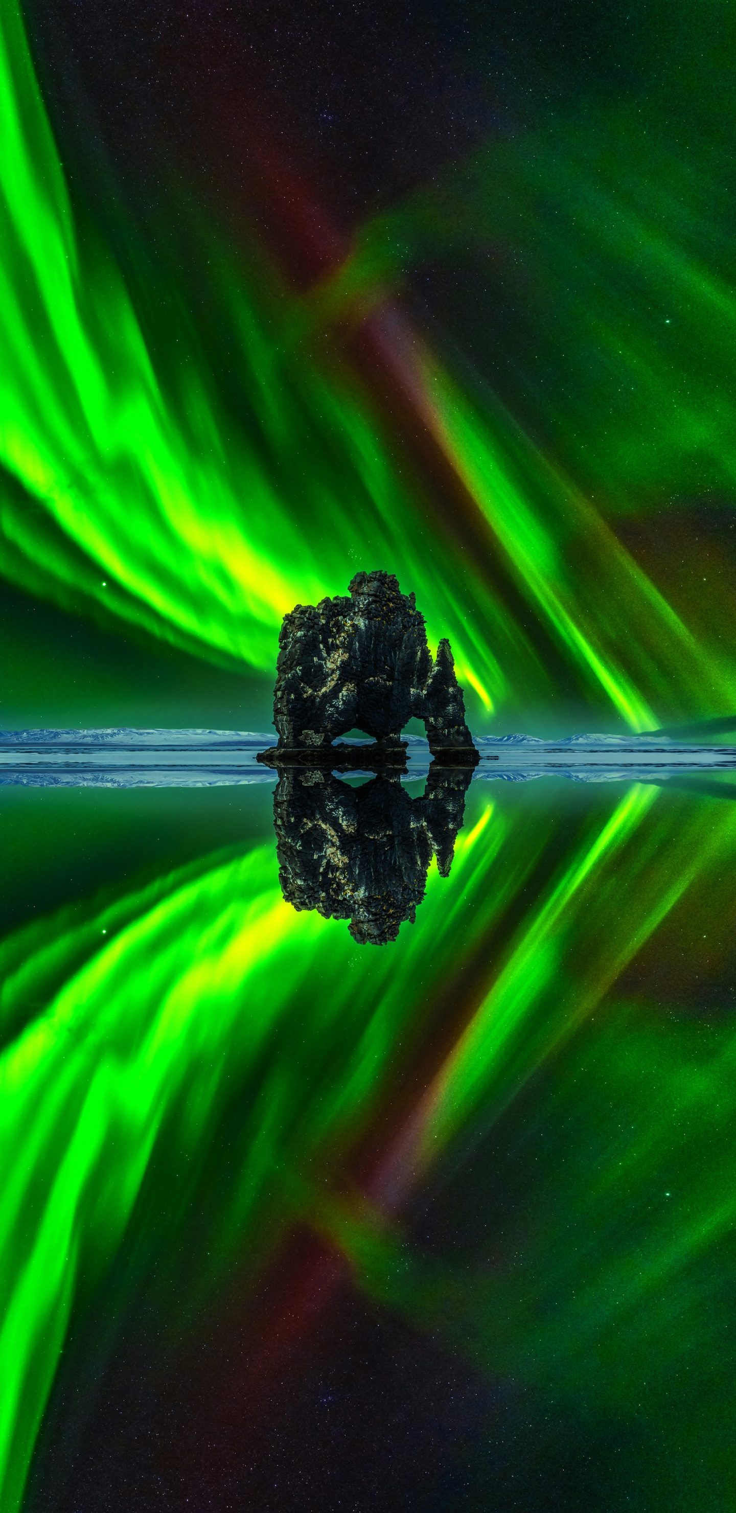 grass, graphic design, plant, water, liquid