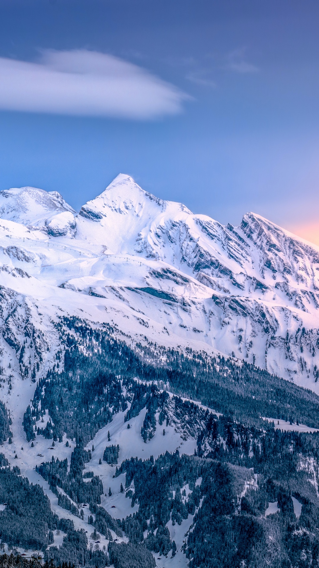 Domaine Skiable de Grindelwald, Ski, Station de Ski, Ski Alpin, Vierge. Wallpaper in 1080x1920 Resolution