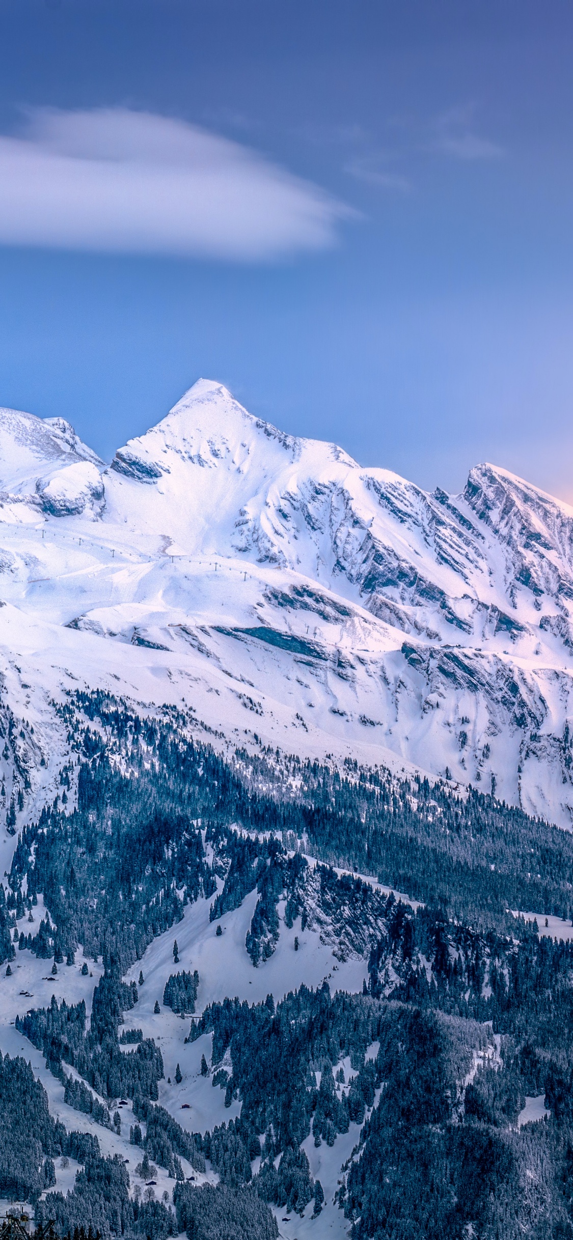 Domaine Skiable de Grindelwald, Ski, Station de Ski, Ski Alpin, Vierge. Wallpaper in 1125x2436 Resolution