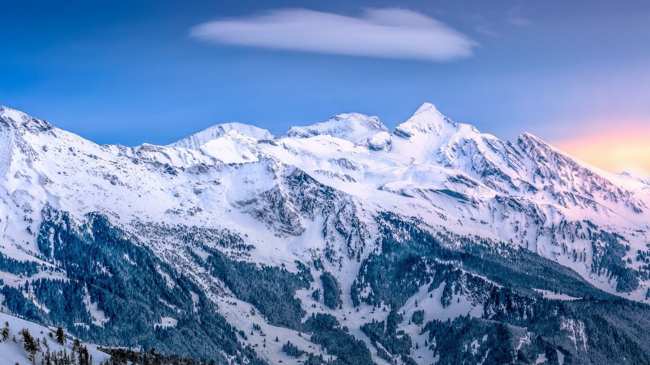 Domaine Skiable de Grindelwald, Ski, Station de Ski, Ski Alpin, Vierge. Wallpaper in 1280x720 Resolution