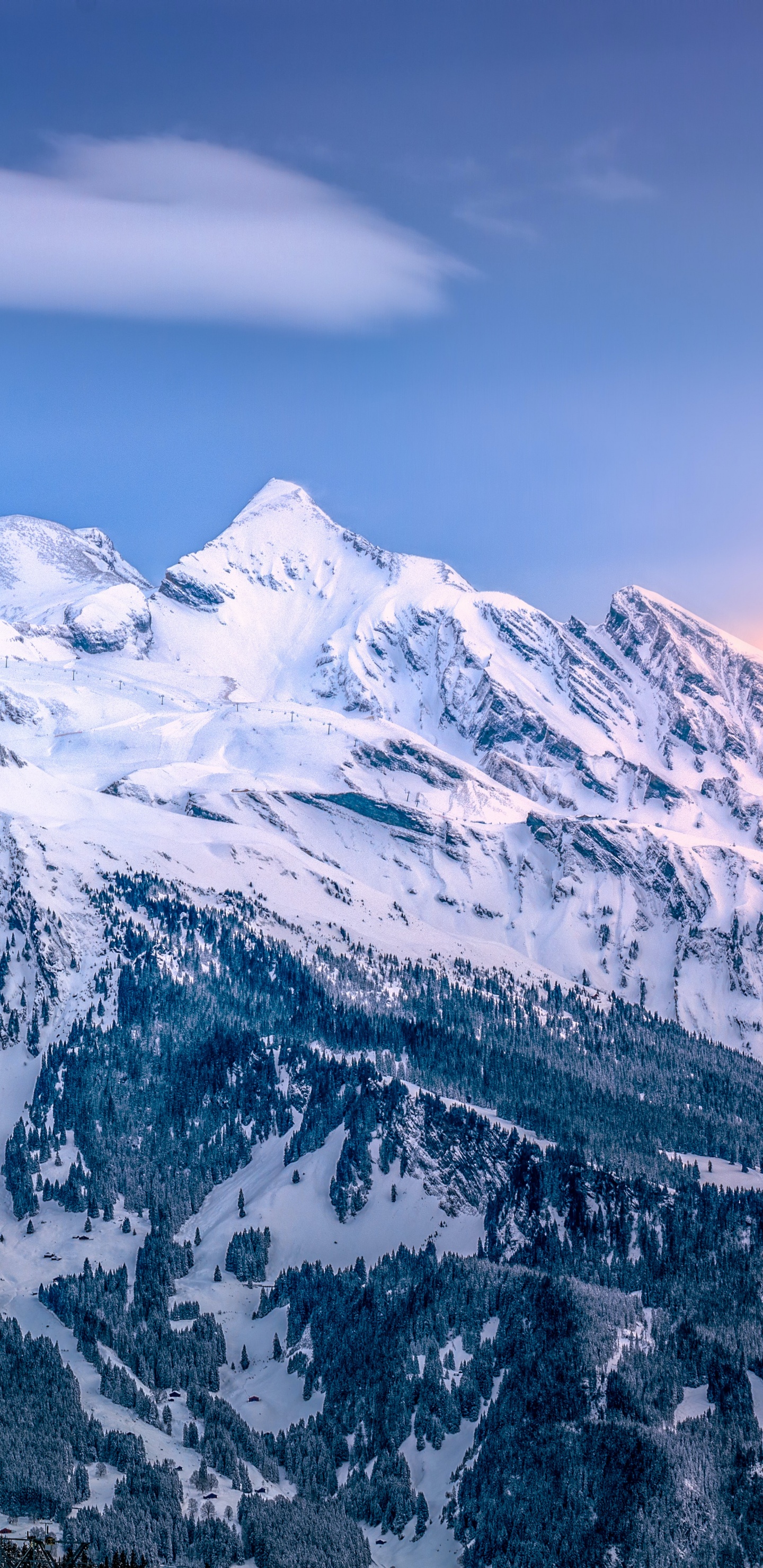 Domaine Skiable de Grindelwald, Ski, Station de Ski, Ski Alpin, Vierge. Wallpaper in 1440x2960 Resolution