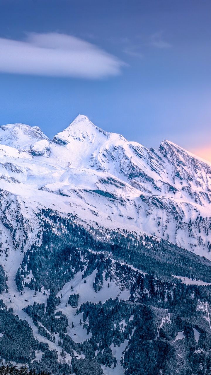 Domaine Skiable de Grindelwald, Ski, Station de Ski, Ski Alpin, Vierge. Wallpaper in 720x1280 Resolution