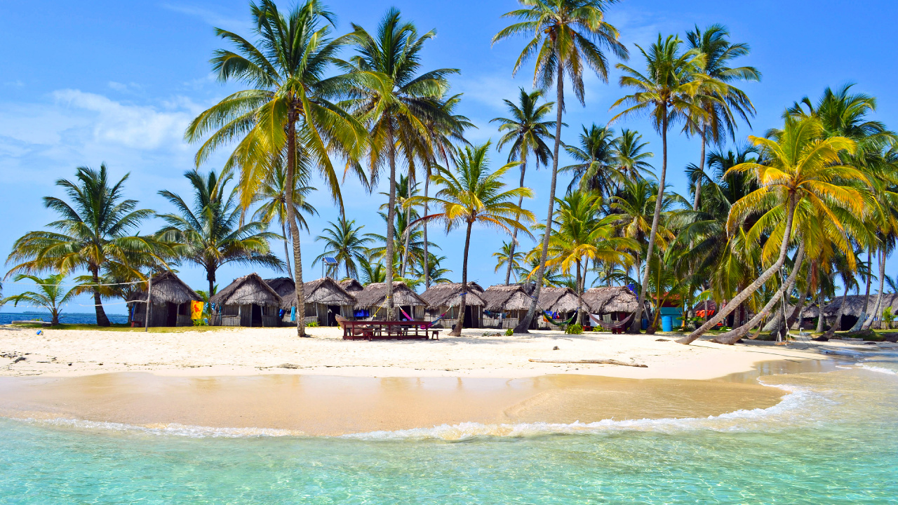 Palm Trees on Beach Shore During Daytime. Wallpaper in 1280x720 Resolution