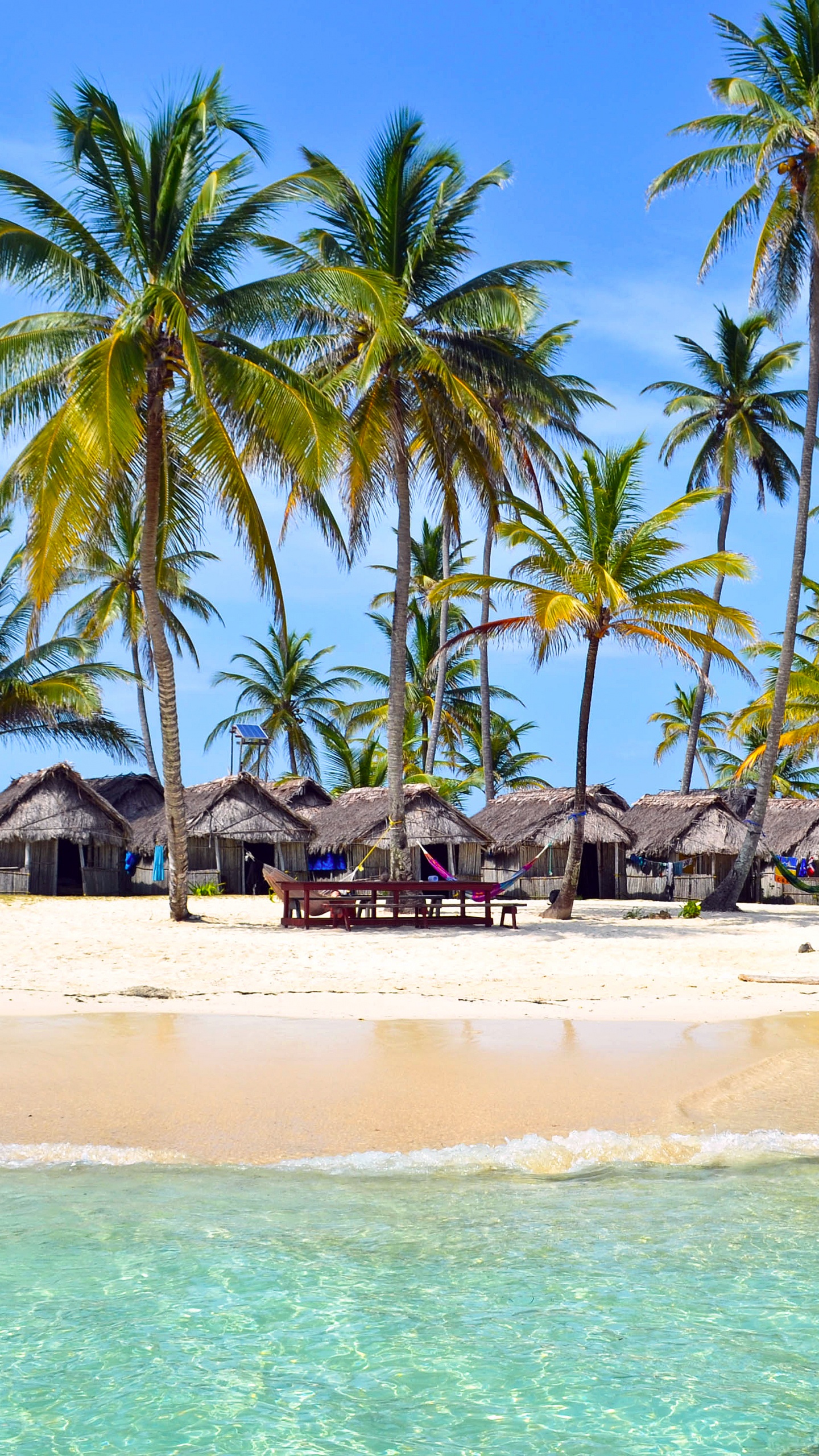 Palm Trees on Beach Shore During Daytime. Wallpaper in 1440x2560 Resolution