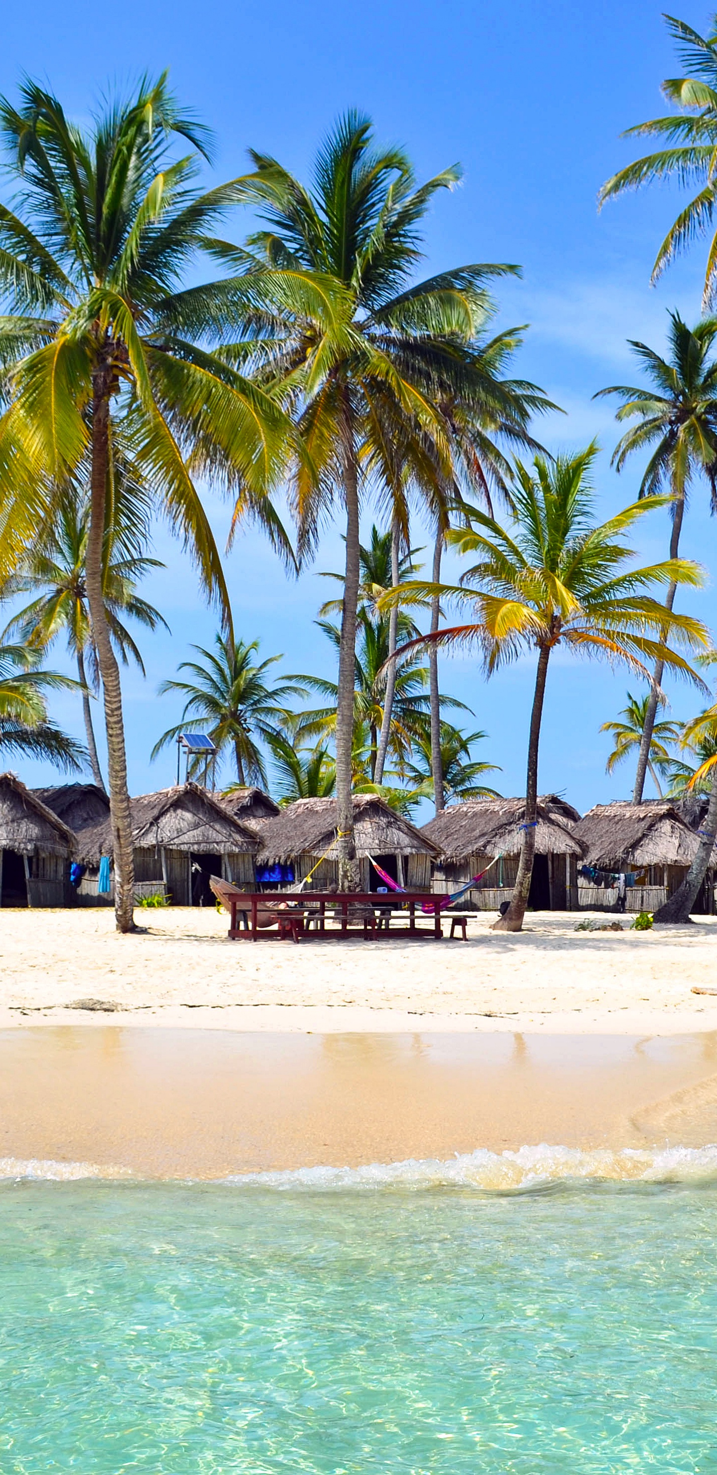 Palm Trees on Beach Shore During Daytime. Wallpaper in 1440x2960 Resolution