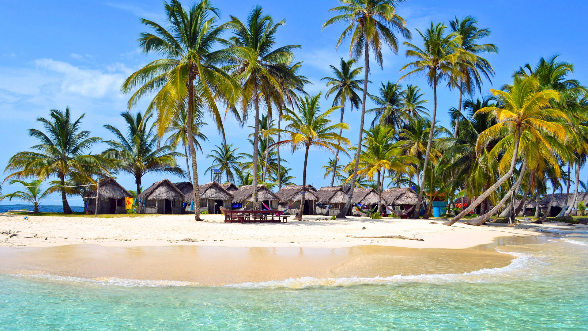 Palm Trees on Beach Shore During Daytime. Wallpaper in 1920x1080 Resolution