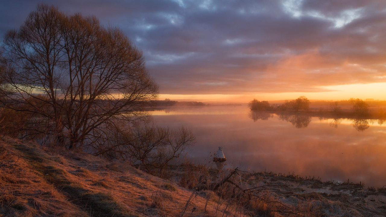 Bare Trees Near Body of Water During Sunset. Wallpaper in 1280x720 Resolution