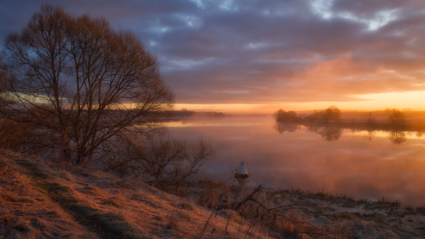Bare Trees Near Body of Water During Sunset. Wallpaper in 1366x768 Resolution