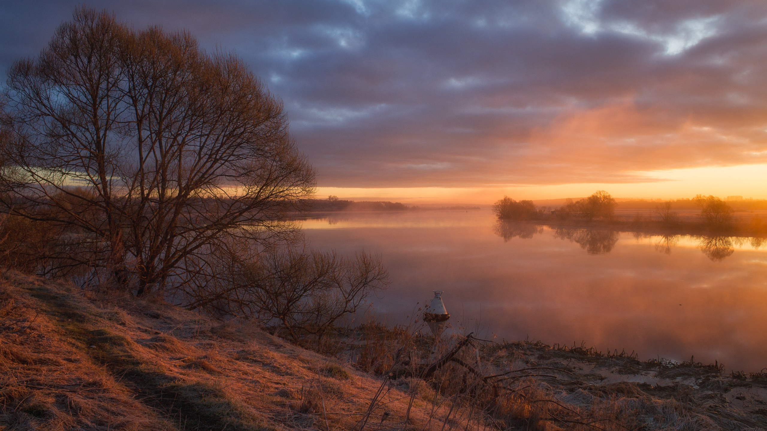 Bare Trees Near Body of Water During Sunset. Wallpaper in 2560x1440 Resolution