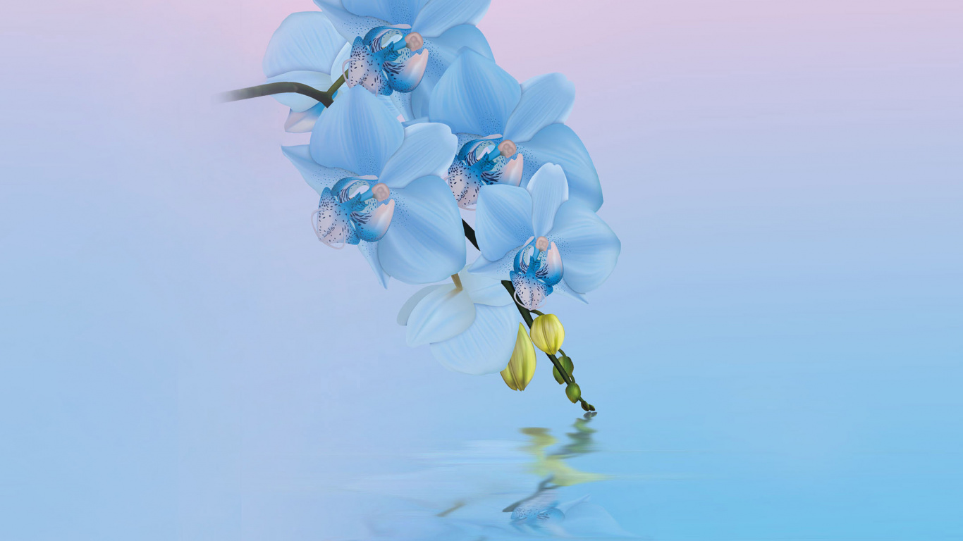 Huawei, Huawei Honor 10, Flor Xiaomi, Diseño Floral, Azul. Wallpaper in 1366x768 Resolution