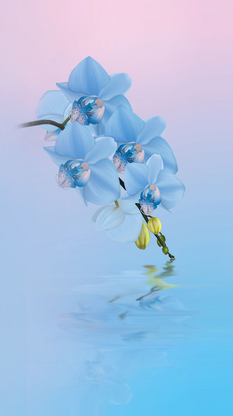 Huawei, Huawei Honor 10, Xiaomi Blume, Blumenmuster, Blau. Wallpaper in 750x1334 Resolution