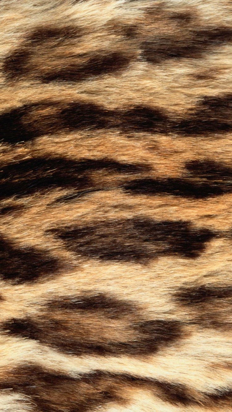 Textil de Leopardo Blanco y Negro. Wallpaper in 750x1334 Resolution