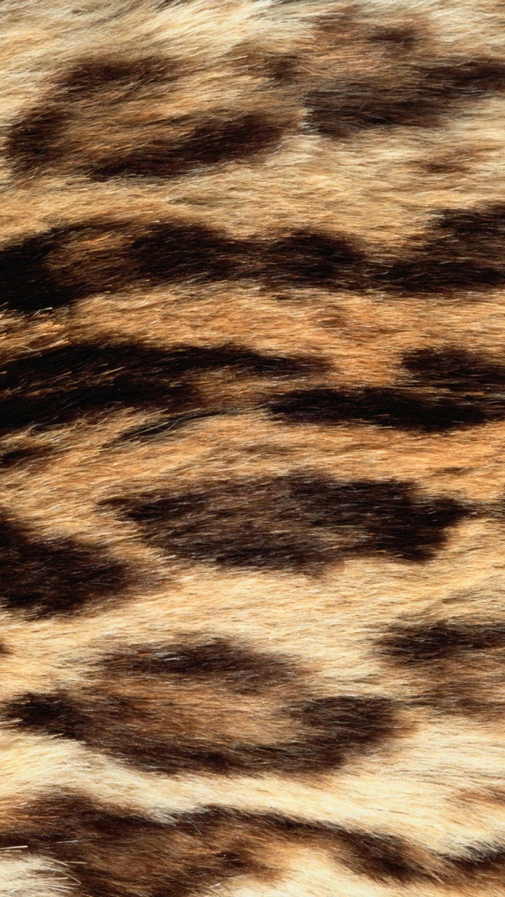 Black and White Leopard Textile. Wallpaper in 720x1280 Resolution