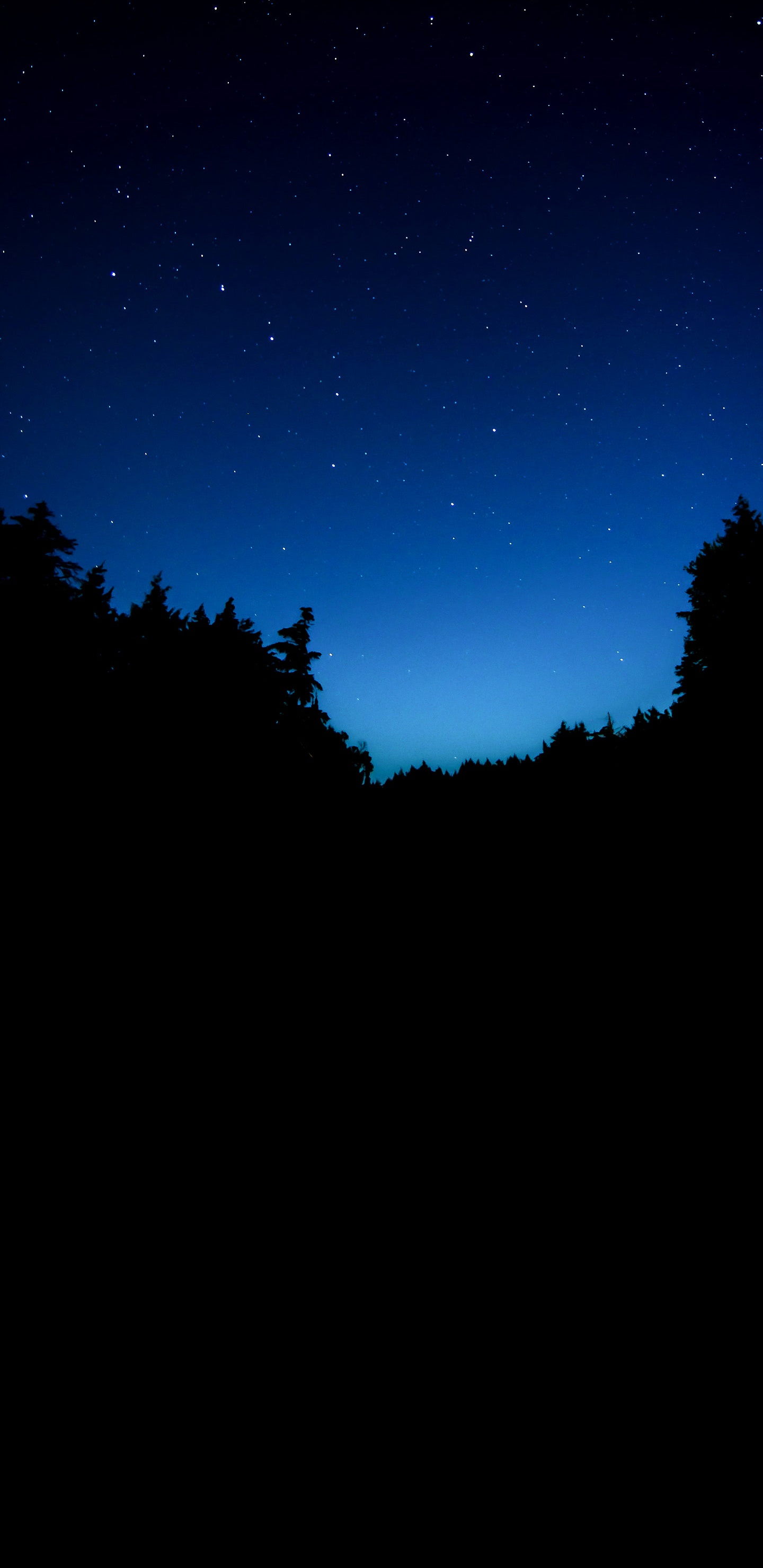 Natur, Atmosphäre, Cloud, Naturlandschaft, Branch. Wallpaper in 1440x2960 Resolution