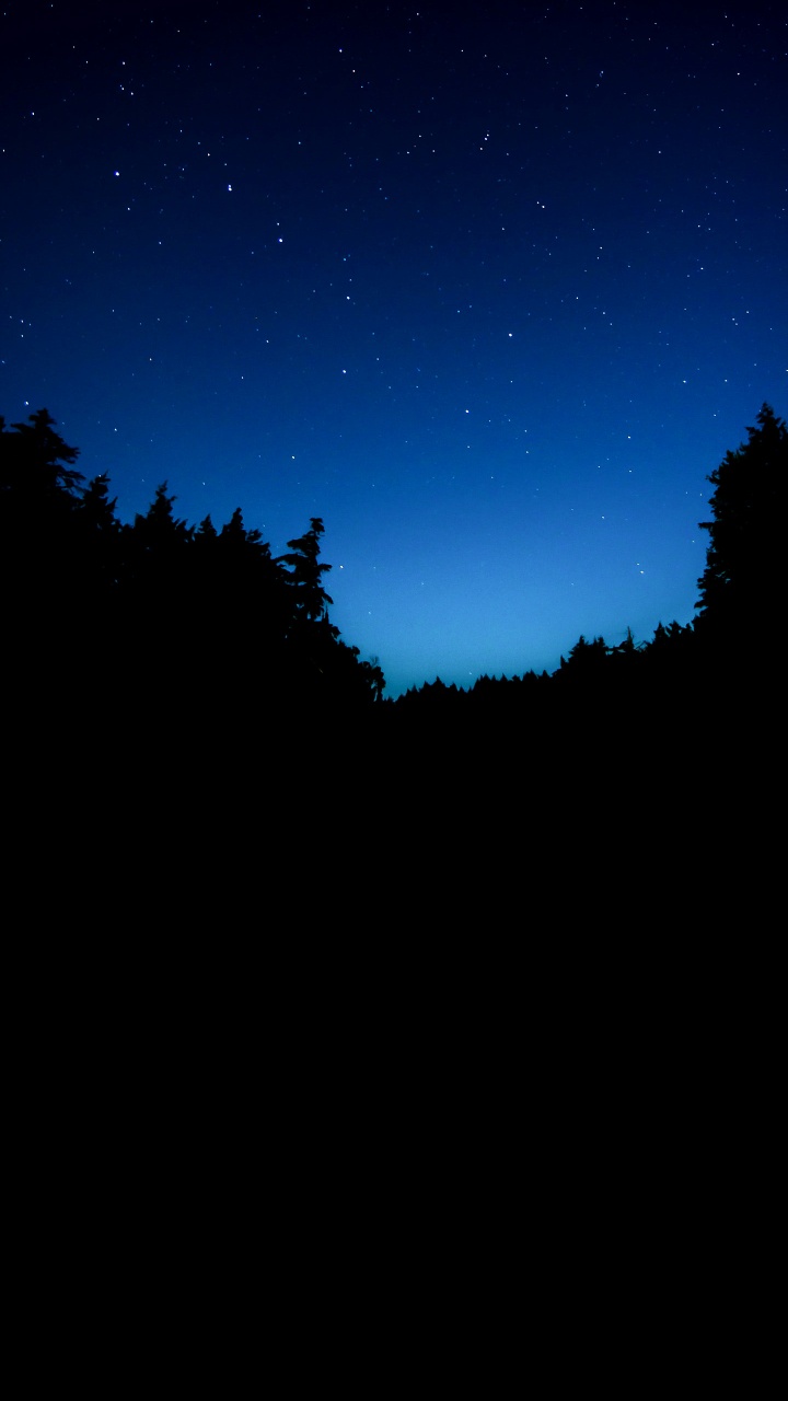 Natur, Atmosphäre, Cloud, Naturlandschaft, Branch. Wallpaper in 720x1280 Resolution