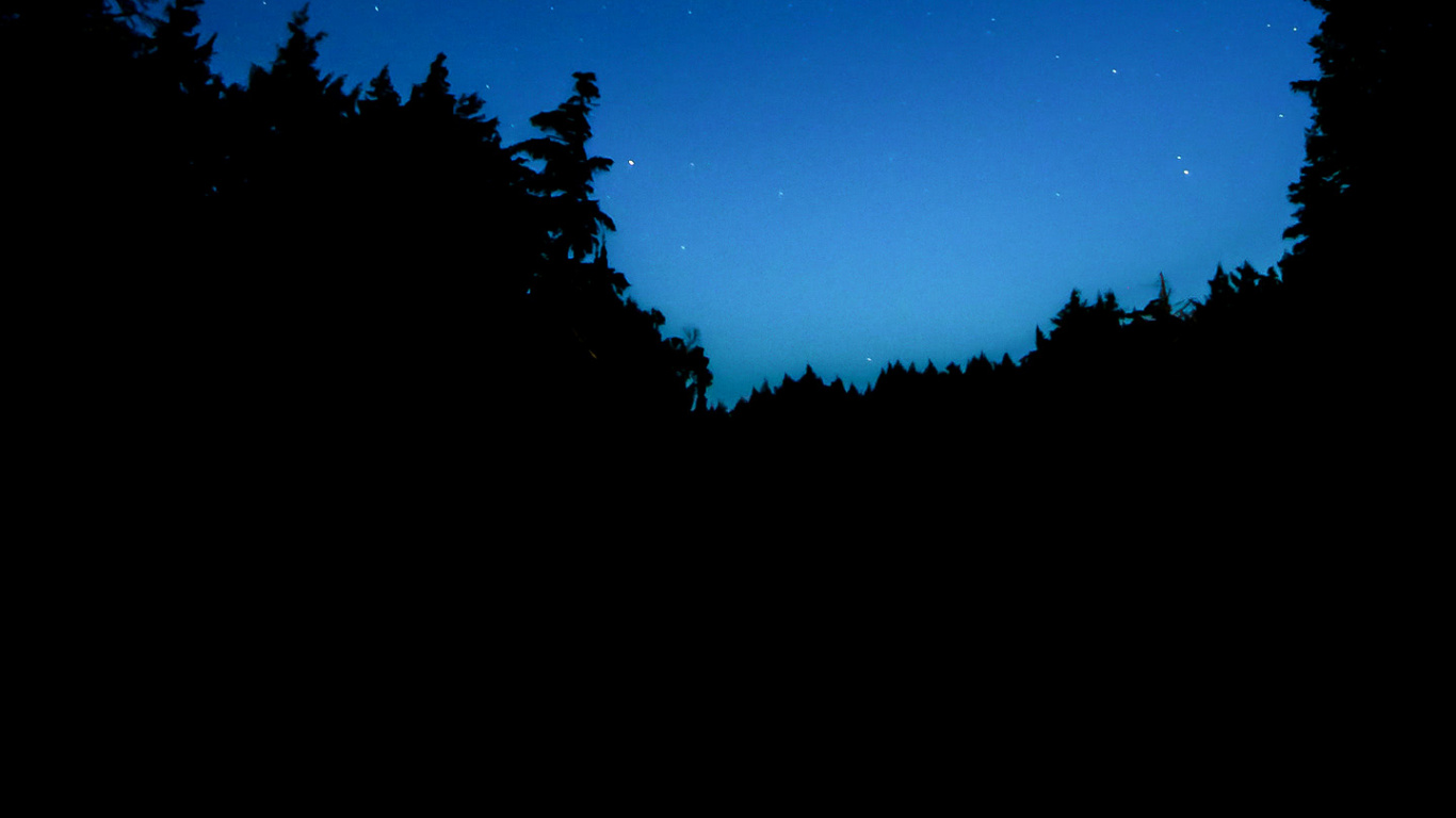 Naturaleza, Ambiente, Paisaje Natural, Sucursal, Objeto Astronómico. Wallpaper in 1366x768 Resolution