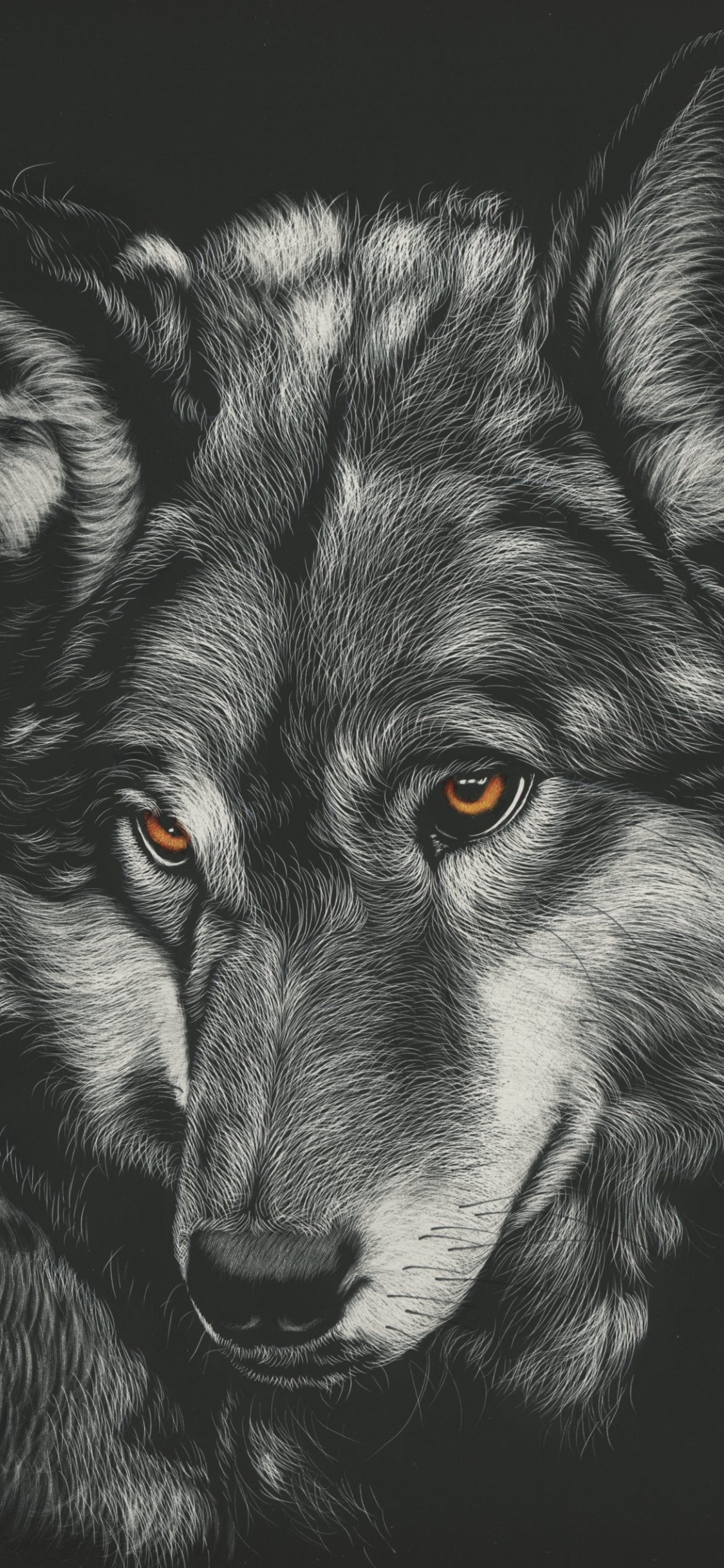 Ilustración de Lobo Blanco y Negro. Wallpaper in 1125x2436 Resolution
